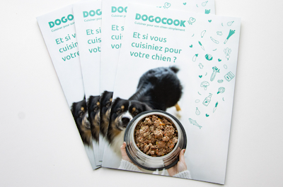 60 flyers Dogocook